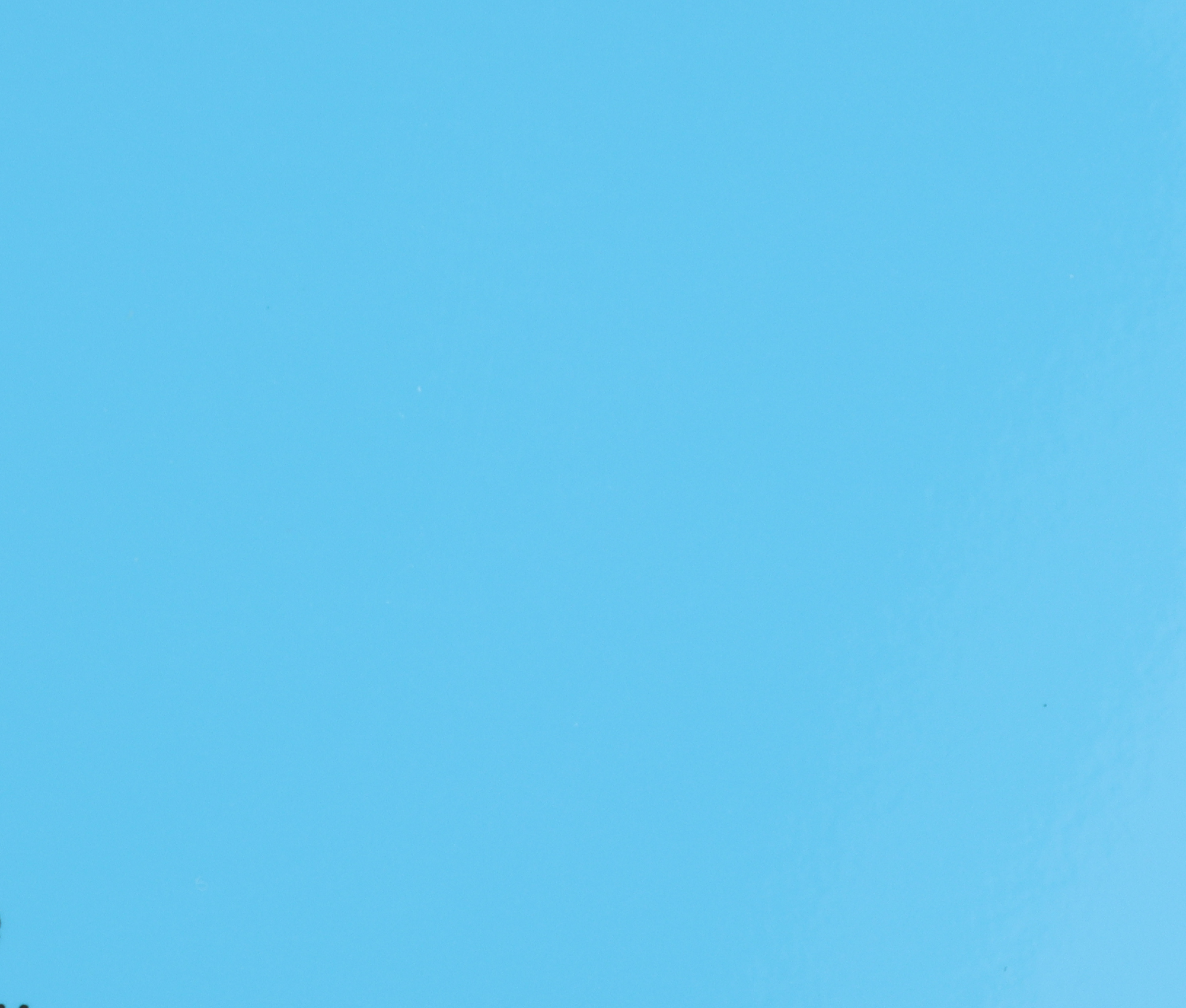 Ice Blue Parlak